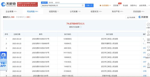 融創房地產公司累計被執行超74億