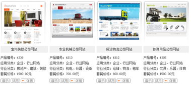 賽偶網絡八年輝煌 北京企業網站建設領航者