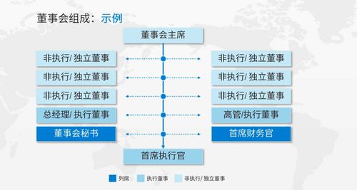 從精英專家視角探析公司治理與數據處理存儲服務的融合之道